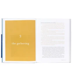 Abrams Books The First Forty Days: The Essential Art of Nourishing the New Mother