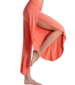 Jala Bhakti Pant