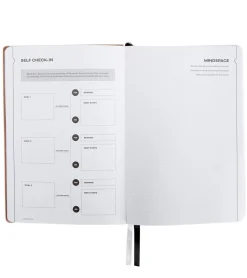 Sked Planner Small Rose Gold Planner