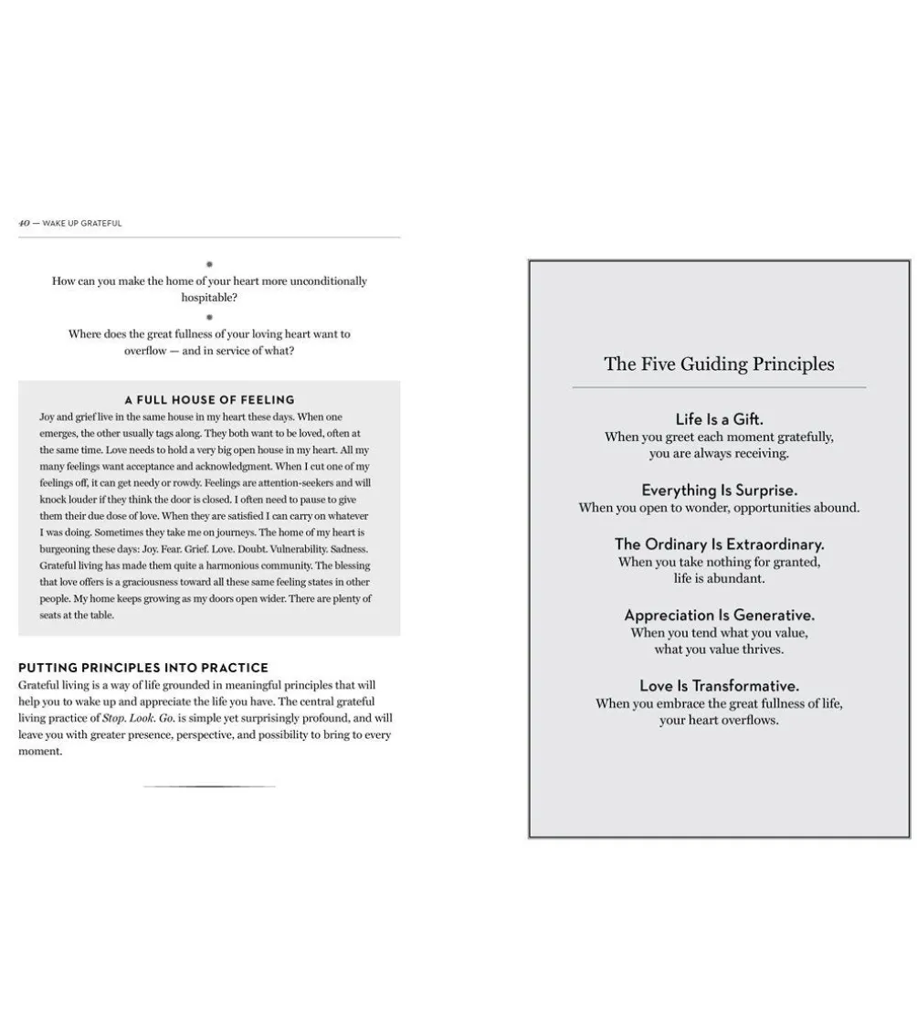 Workman Publishing Wake Up Grateful: The Transformative Practice of Taking Nothing for Granted